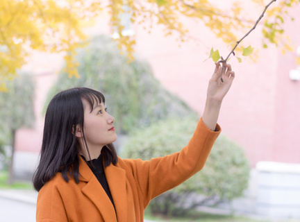 菲律宾理工大学王牌专业